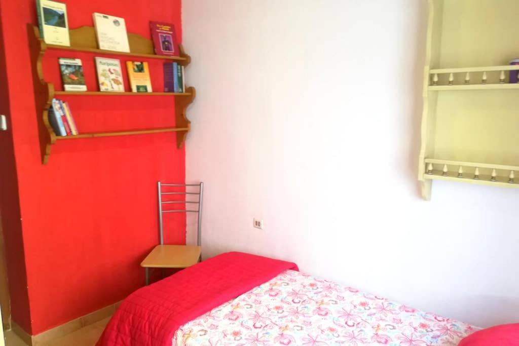 Bonito Apartamento Centro Onil エクステリア 写真