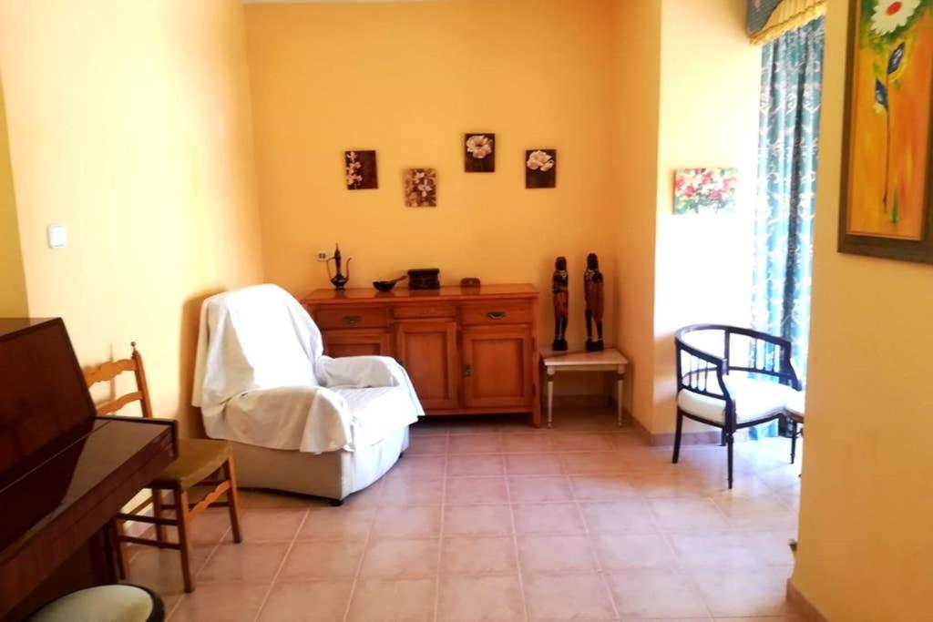 Bonito Apartamento Centro Onil エクステリア 写真